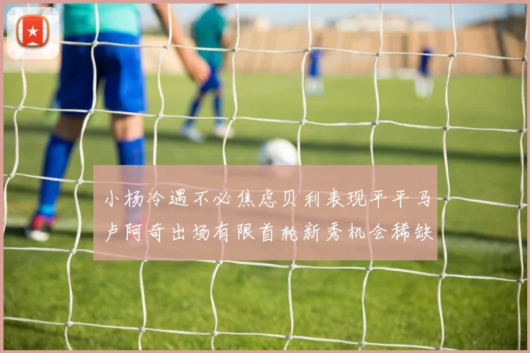小杨冷遇不必焦虑贝利表现平平马卢阿奇出场有限首轮新秀机会稀缺