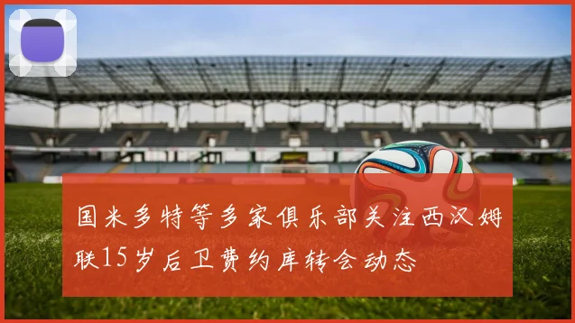国米多特等多家俱乐部关注西汉姆联15岁后卫费约库转会动态