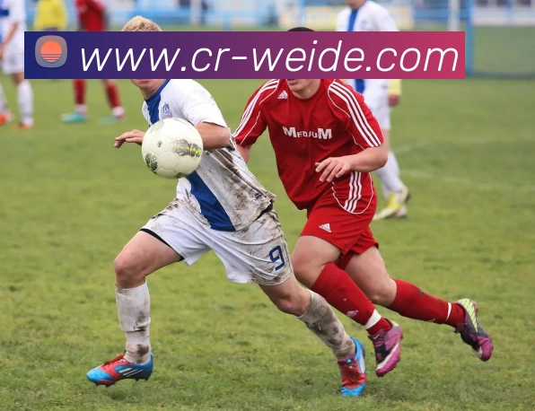 伟德体育品牌故事