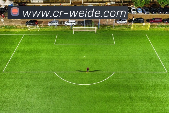 伟德体育服务体系