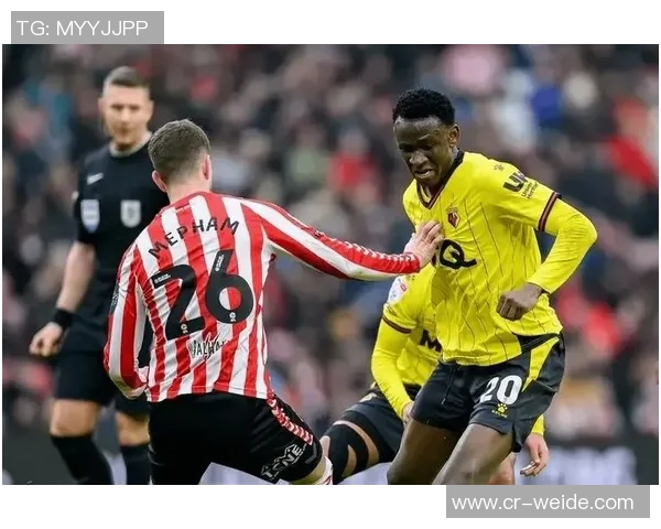 赫尔城赛前18分钟宣布比赛取消引发沃特福德强烈不满质疑决策合理性