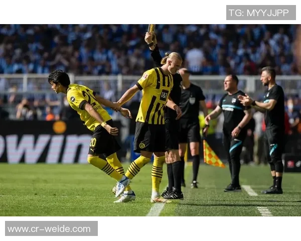 哈兰德回忆已故好友感慨生死之事令人不安的思考与恐惧